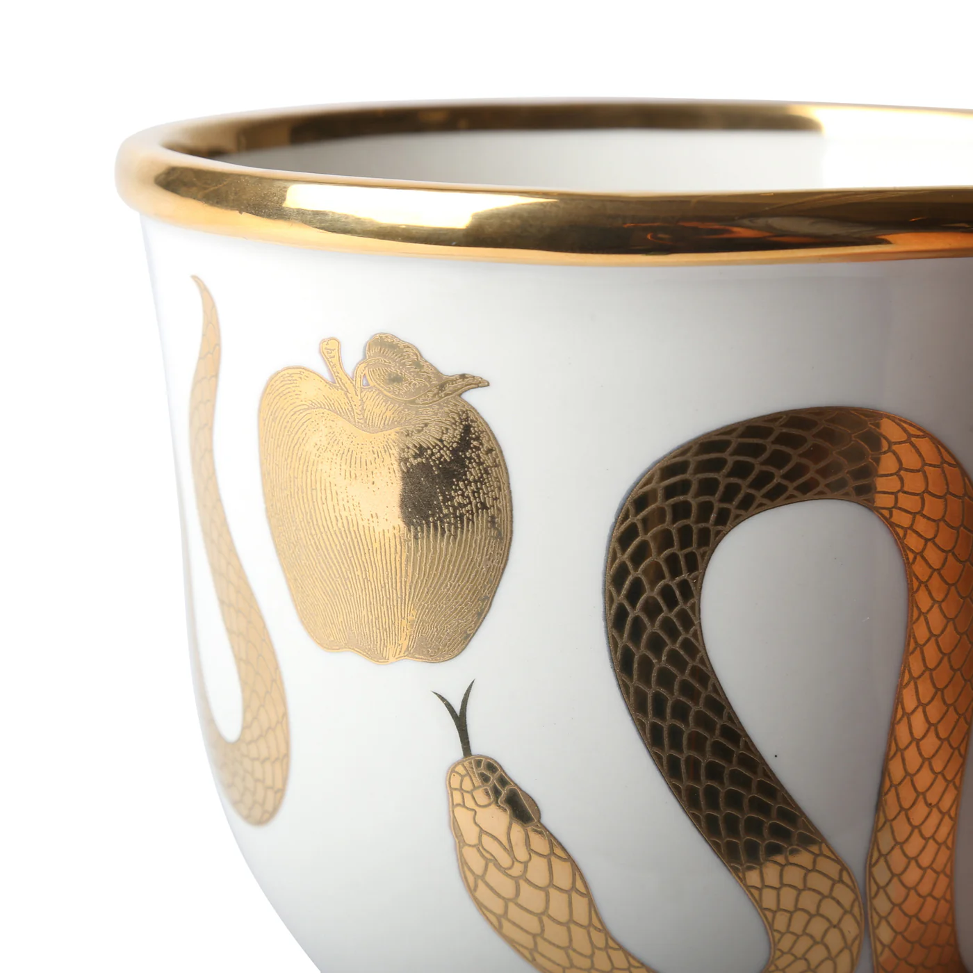 Botanist Snake & Apple Bowl - Image 11