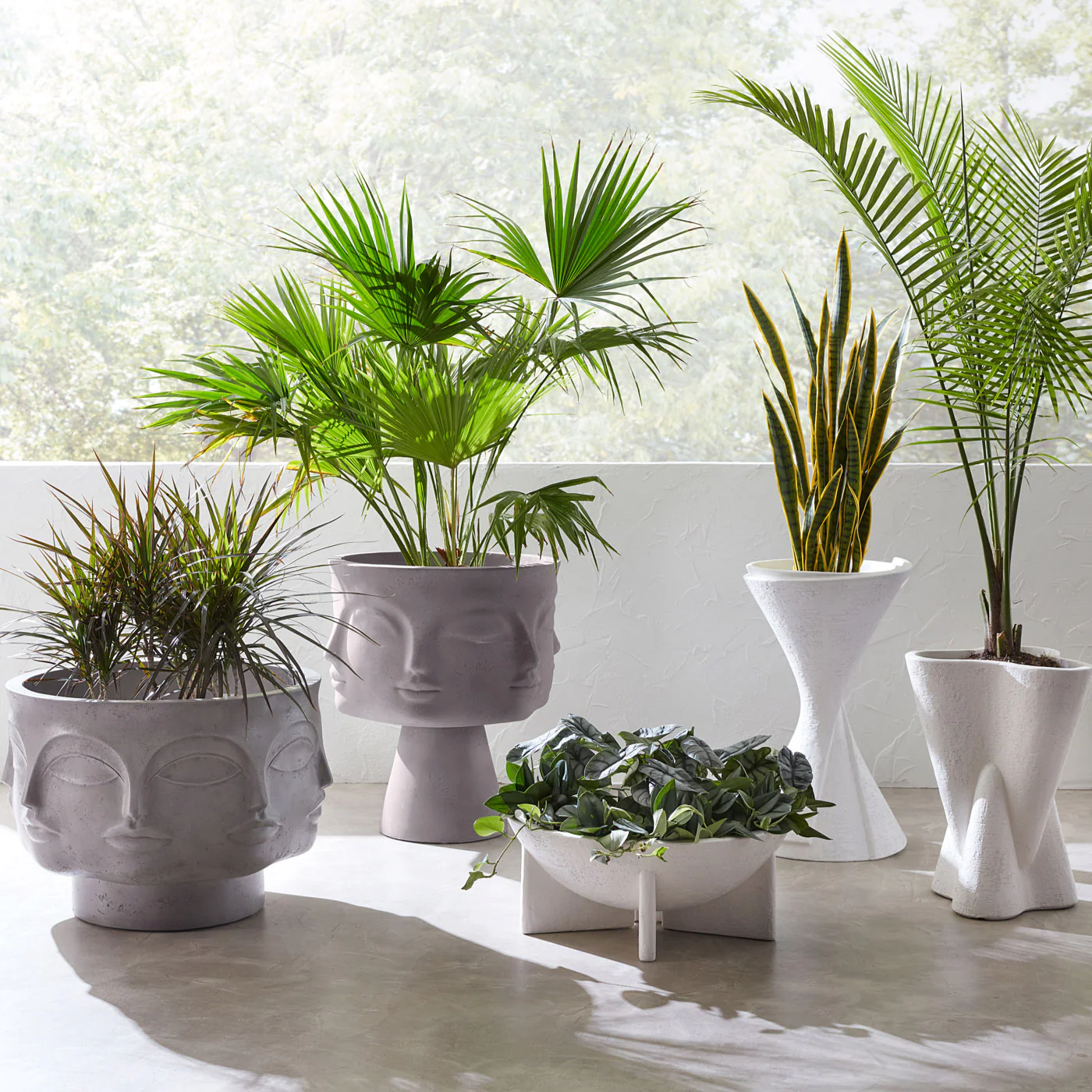 Dora Maar Planter - Image 4