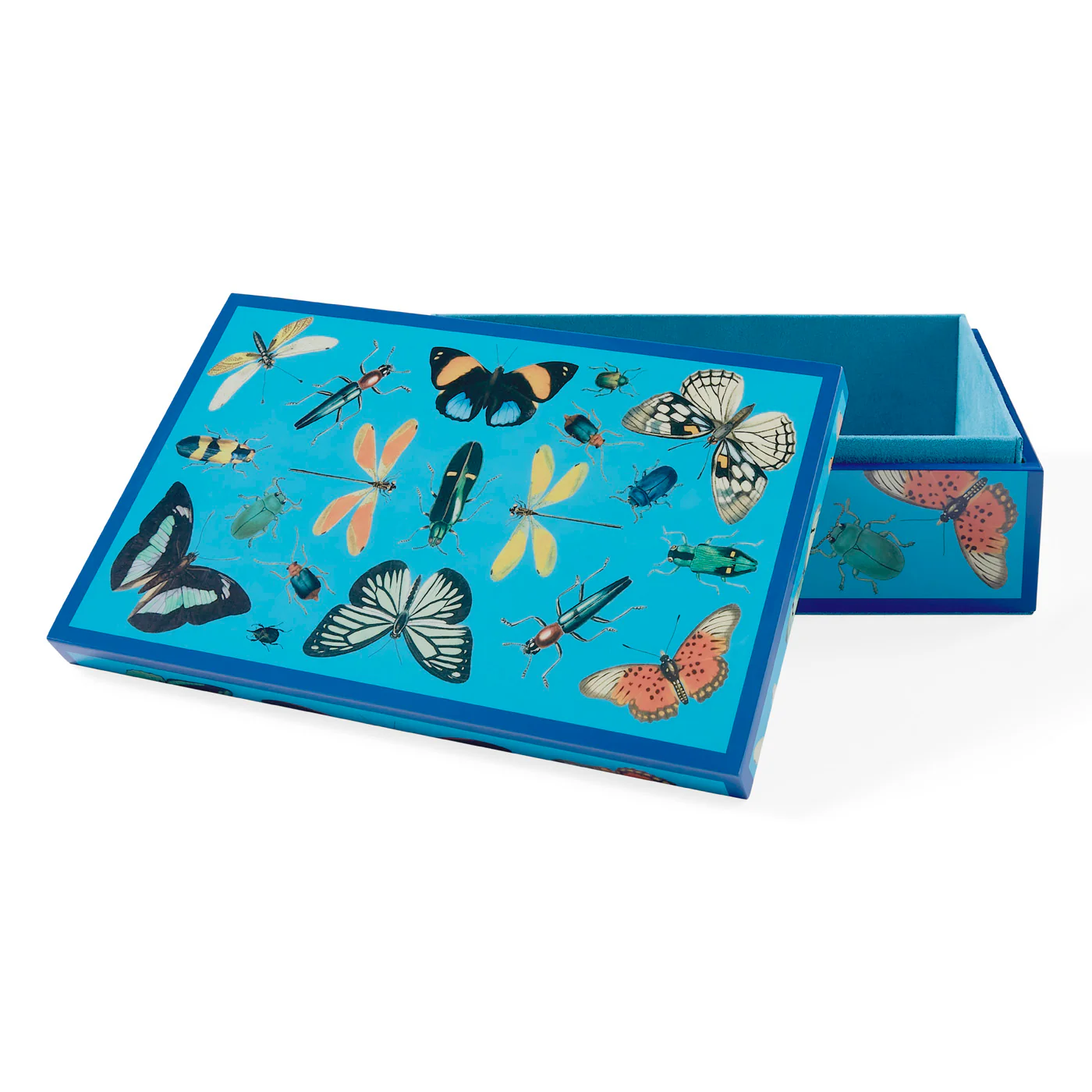 Medium Botanist Lacquer Box - Image 7