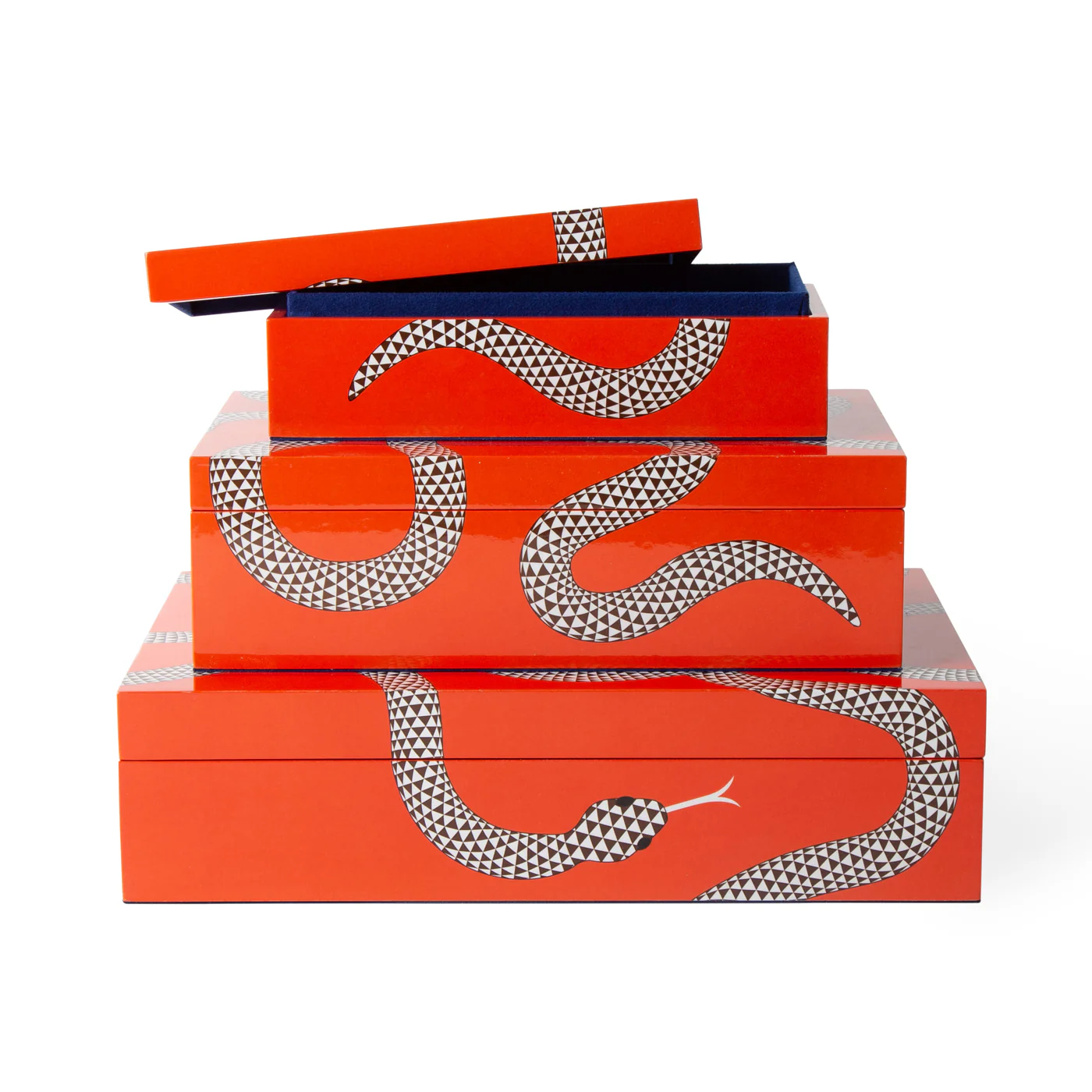 Medium Eden Lacquer Box - Image 10