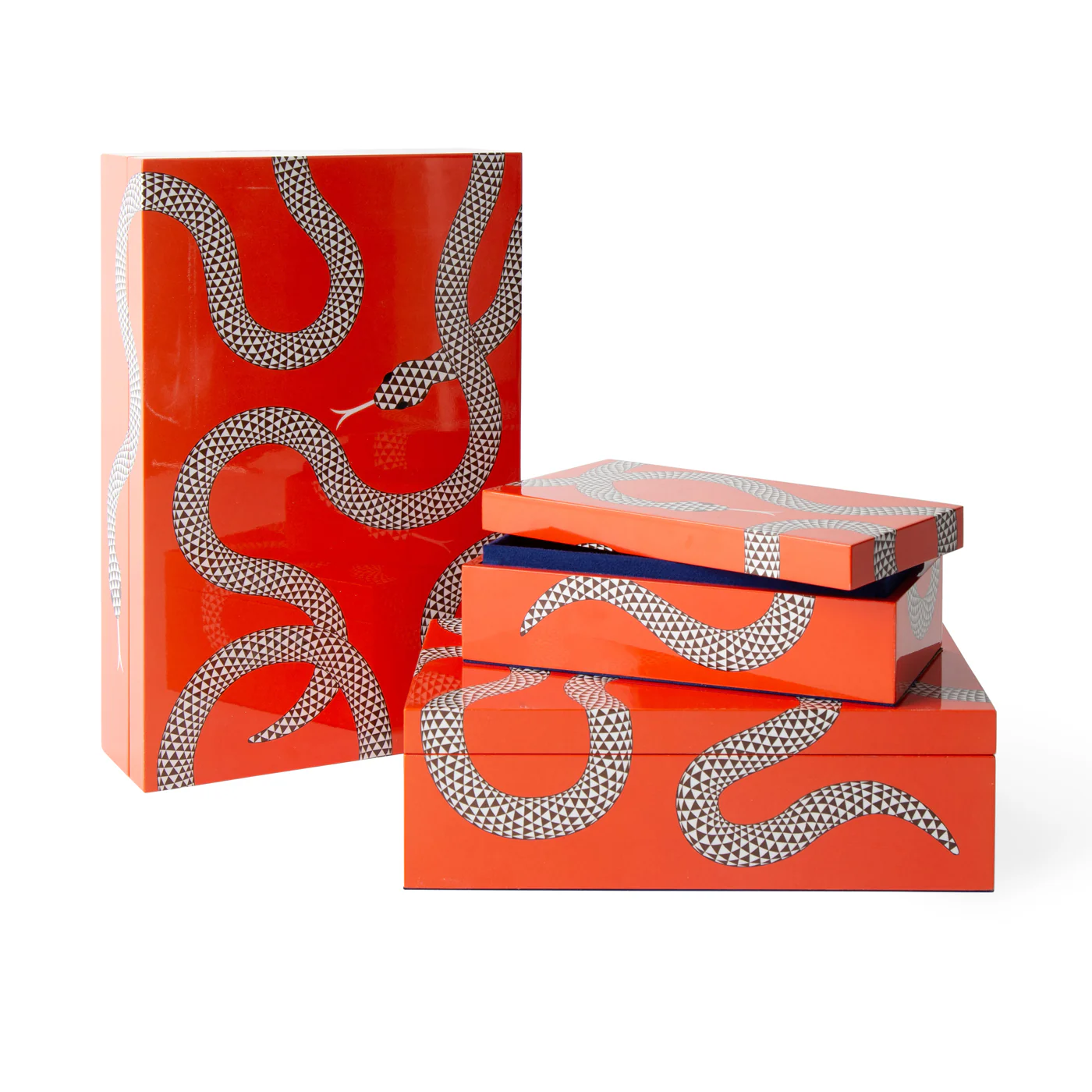 Medium Eden Lacquer Box - Image 11