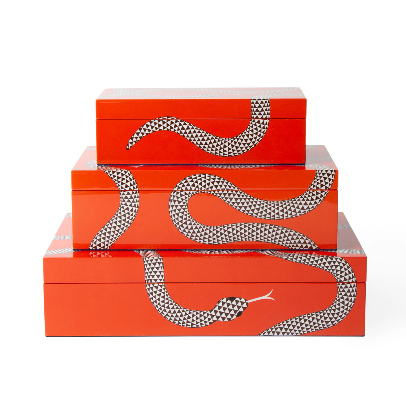 Medium Eden Lacquer Box - Image 9