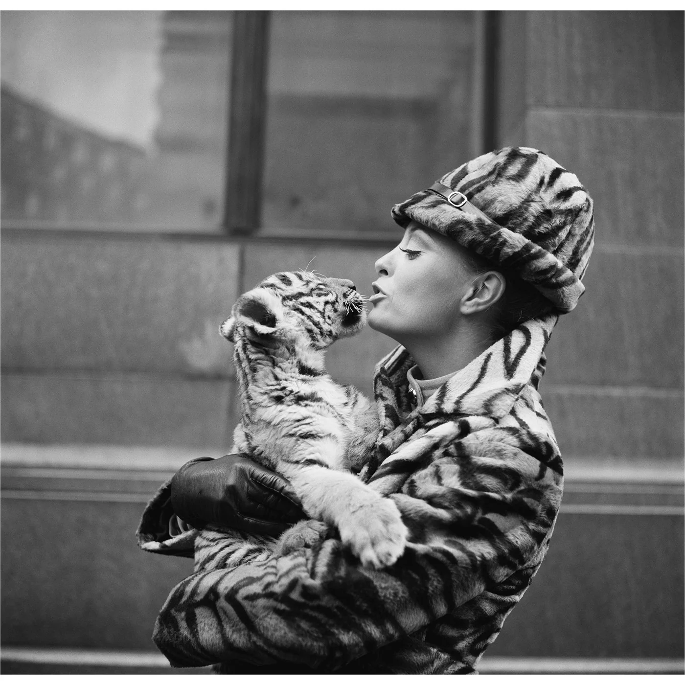 "Tiger Lady" from Getty Images